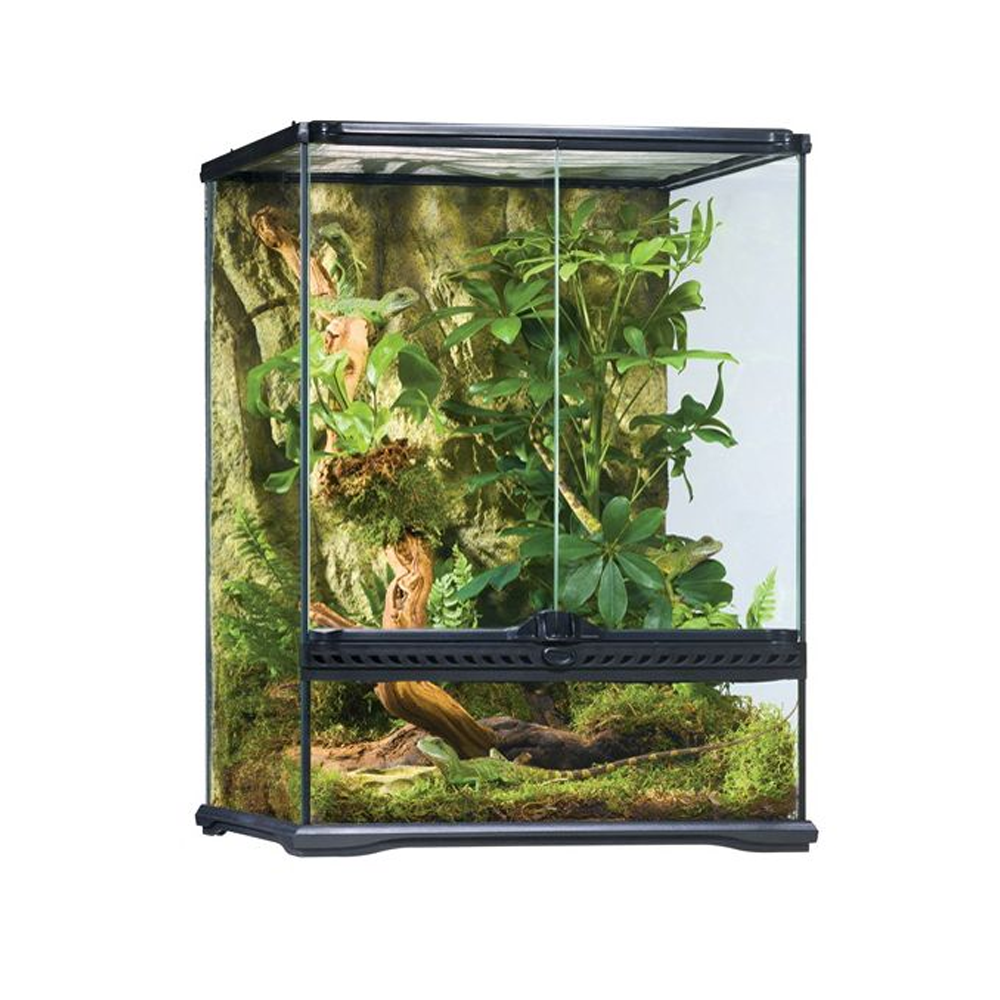 Reptile Enclosures