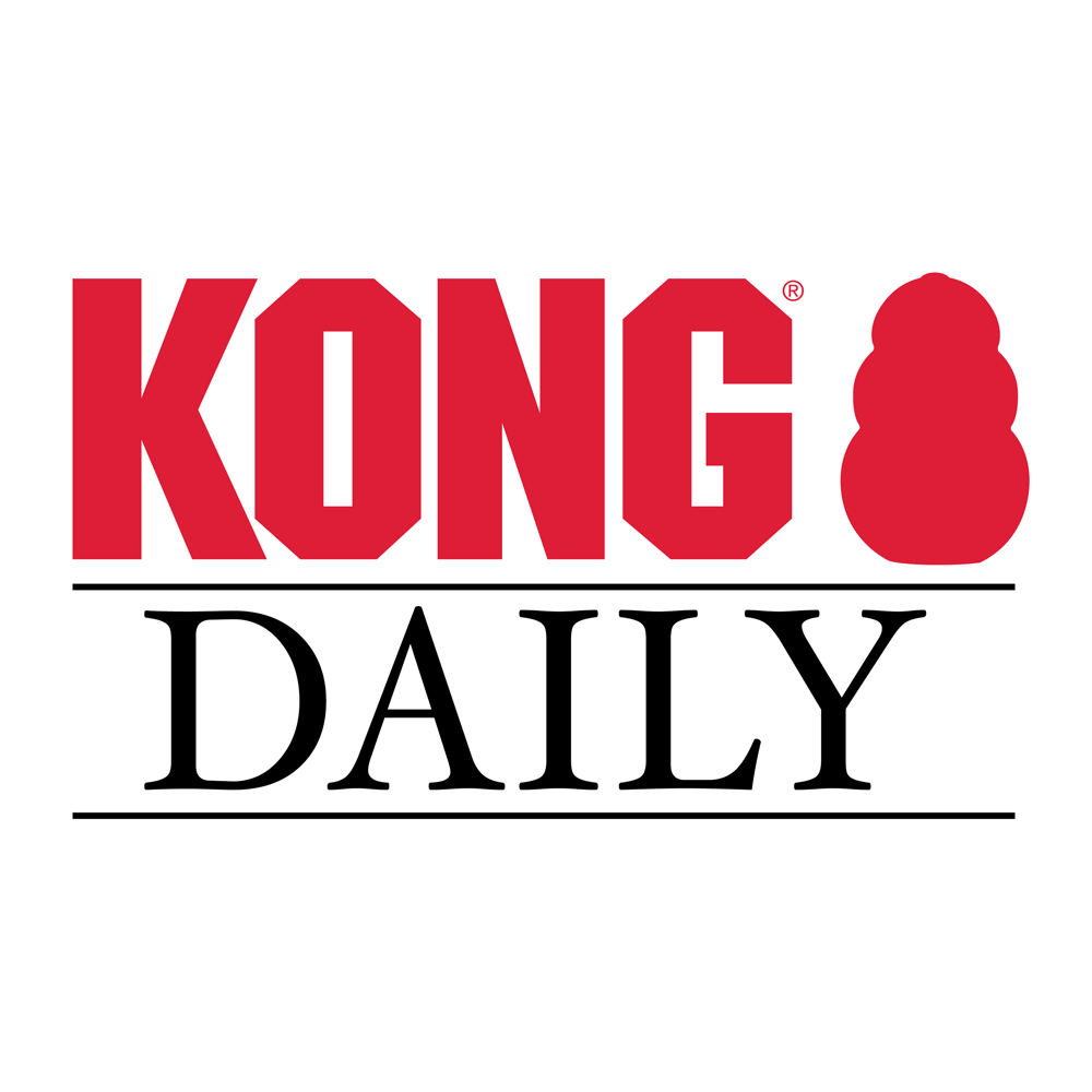 KONG Daily