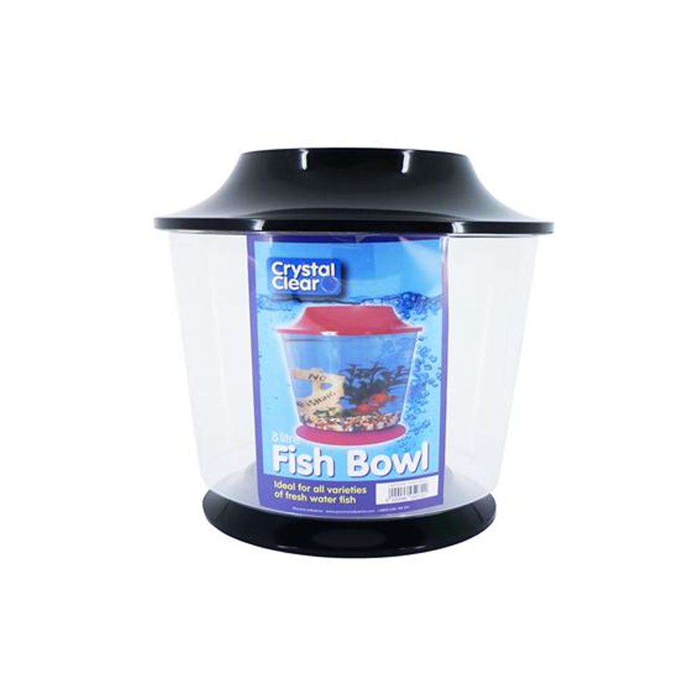 Fish Bowls – Seth's Little Zoo