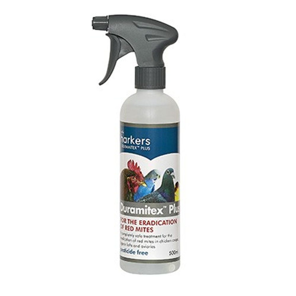 Pest Control