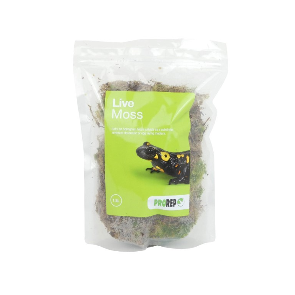 Reptile Moss