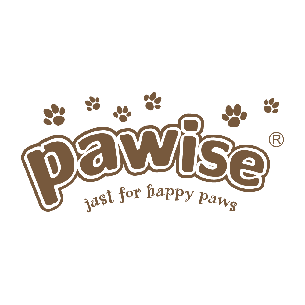 Pawise Dog Toys
