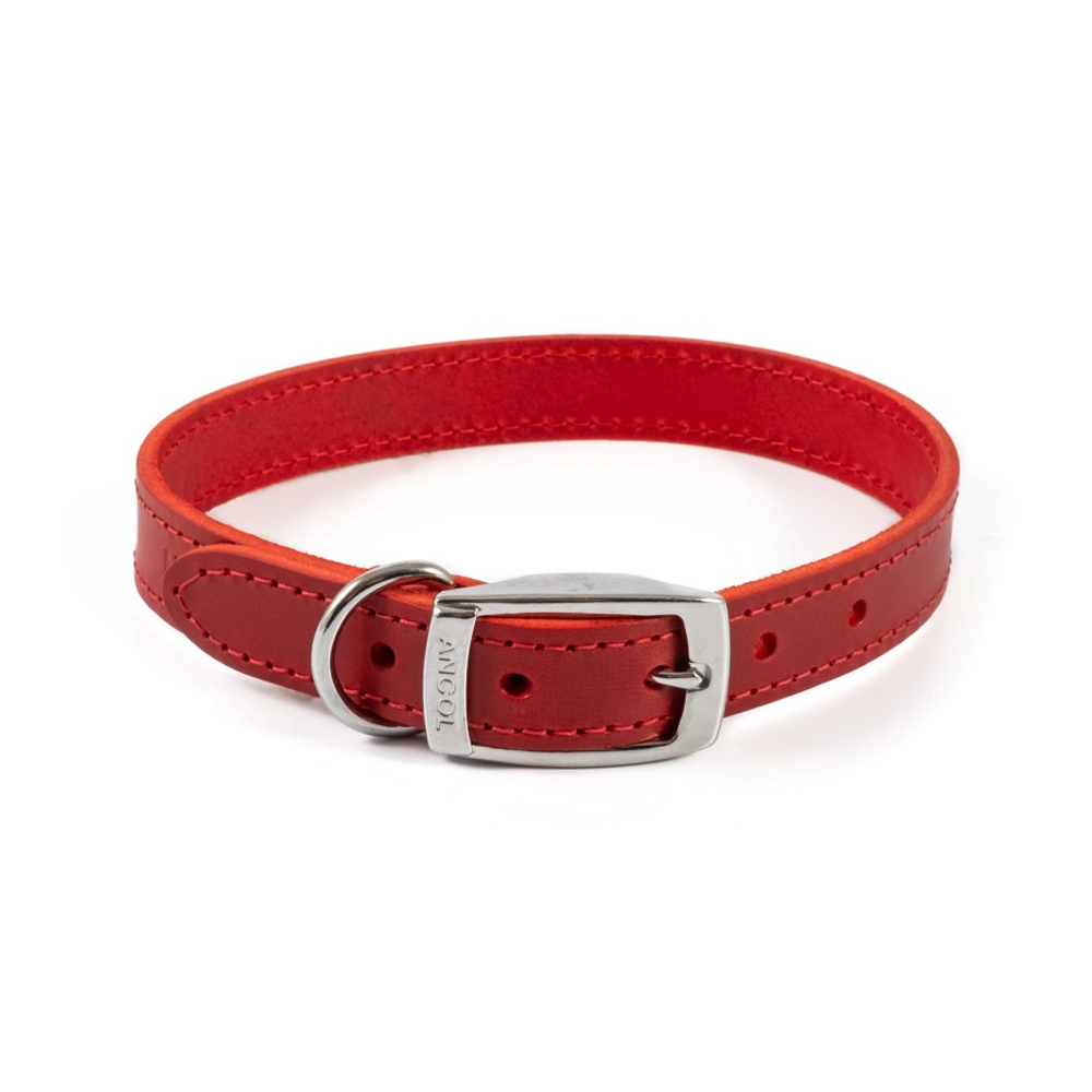 Dog Collars
