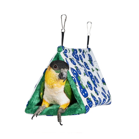 Bird Accessories