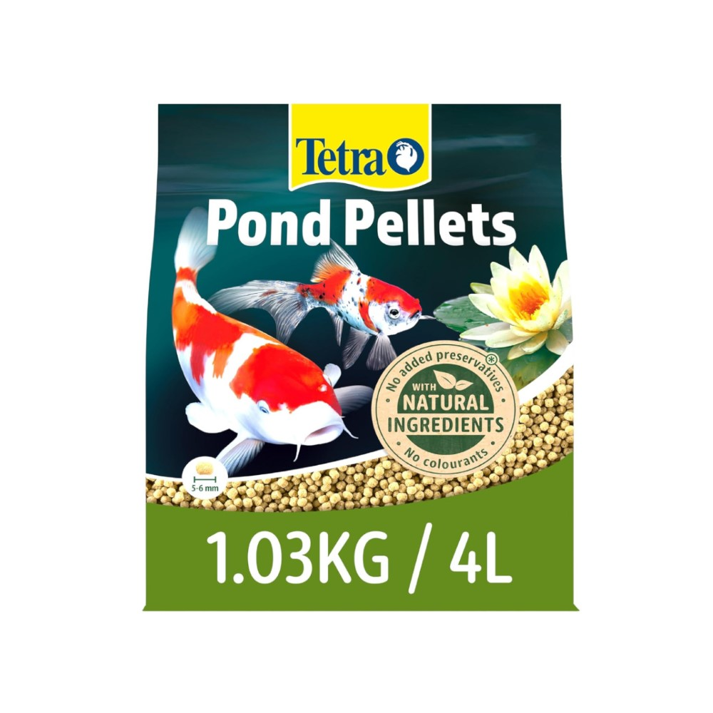 Pond Food