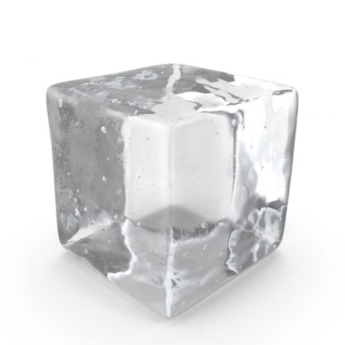 Frozen Reptile Food