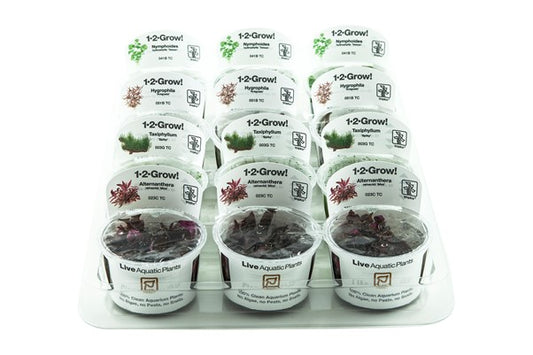 1-2-GROW! Box