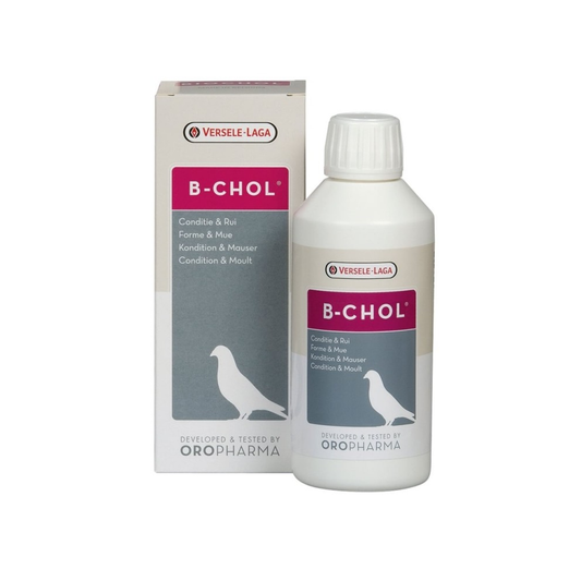 Versele-Laga Oropharma B-Chol 500ml