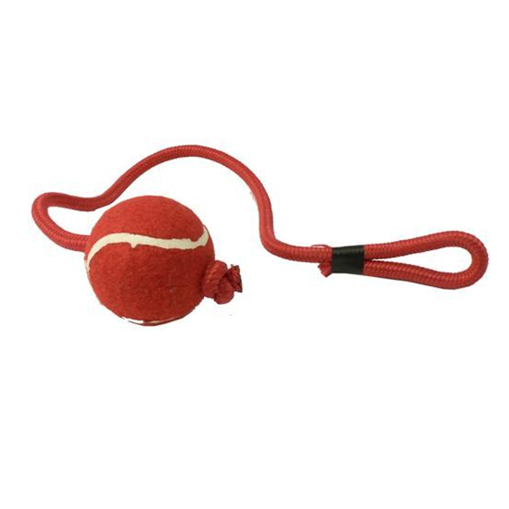 Cheeko Tennis Ball on Rope