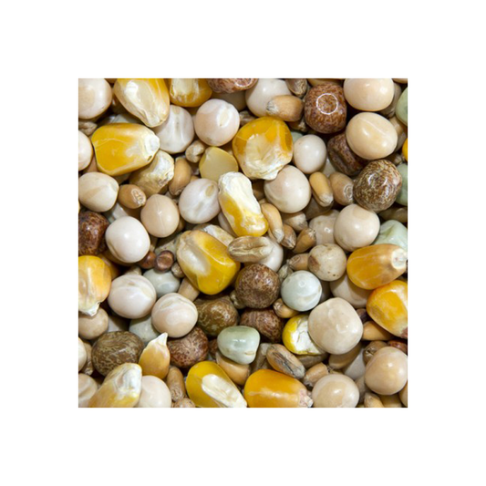 Bamfords Top Flight High Protein Economy 20kg