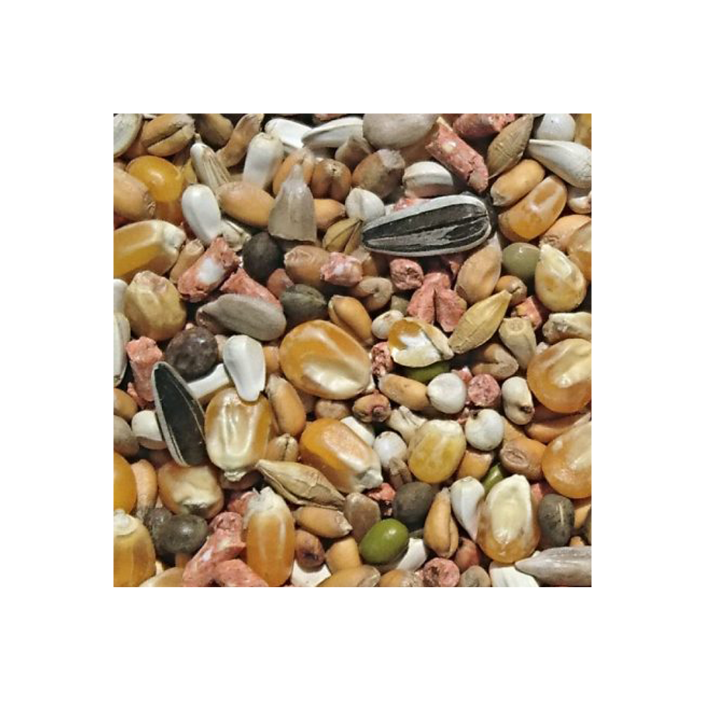 Bamfords Top Flight Popcorn Young Bird 20kg
