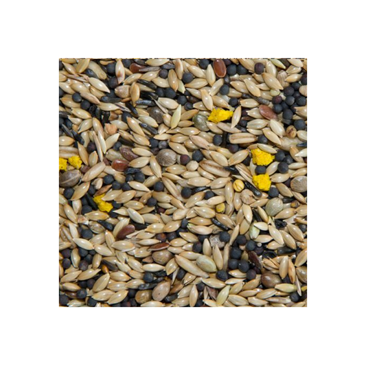 Bamfords Top Flight Super Canary with Egg 20kg