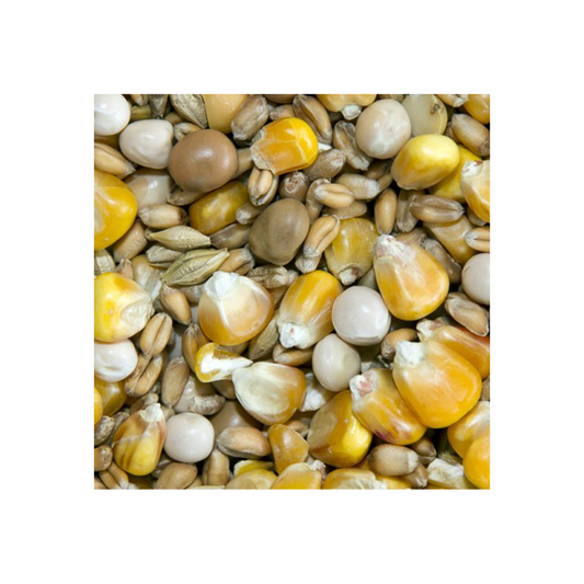 Bamfords Top Flight Winter Economy 20kg