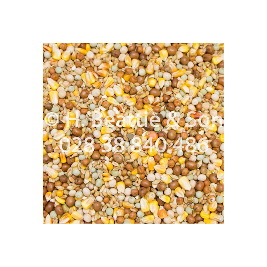 Beatties 4 Seasons 25kg