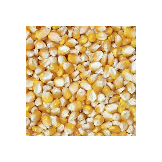 Beatties Dog Tooth Maize Large 20kg