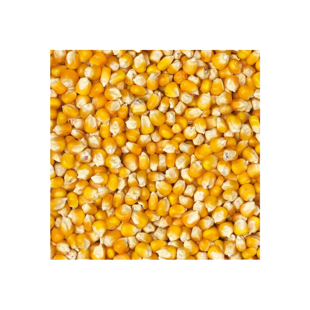 Beatties French Cribb Yellow Maize 20kg