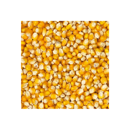 Beatties French Cribb Yellow Maize 20kg