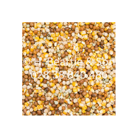 Beatties No.2 Special 25kg