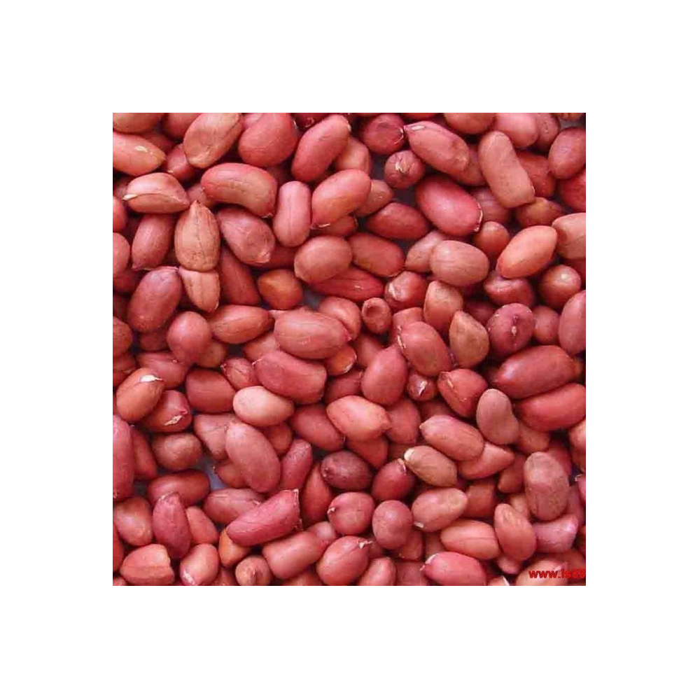 Beatties Premium Peanuts 2.5kg