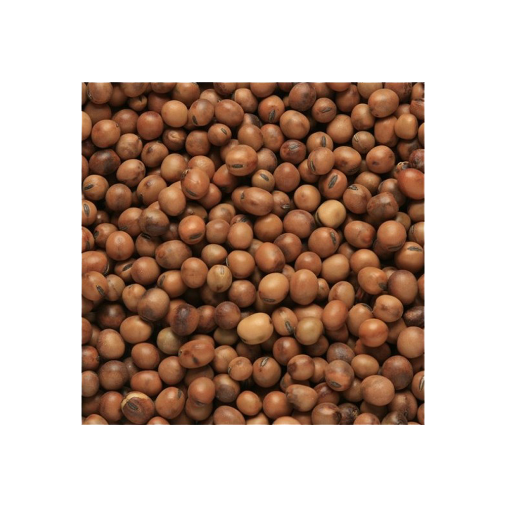 Beatties Tic Beans 1 Year Old 20kg