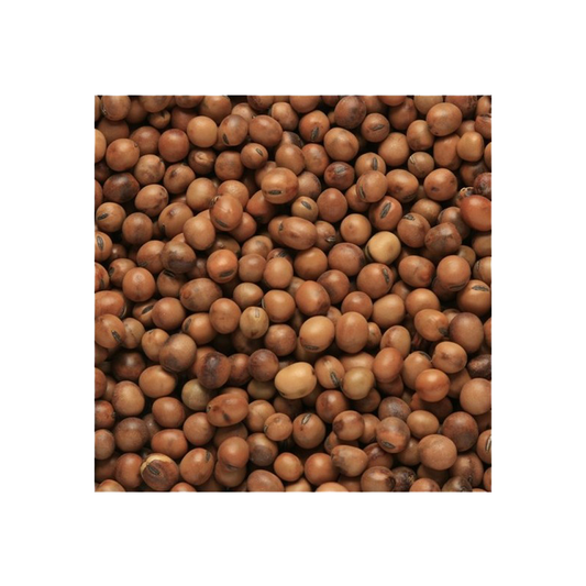Beatties Tic Beans 1 Year Old 20kg
