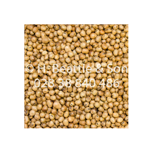 Beatties Tic Beans New Crop 20kg