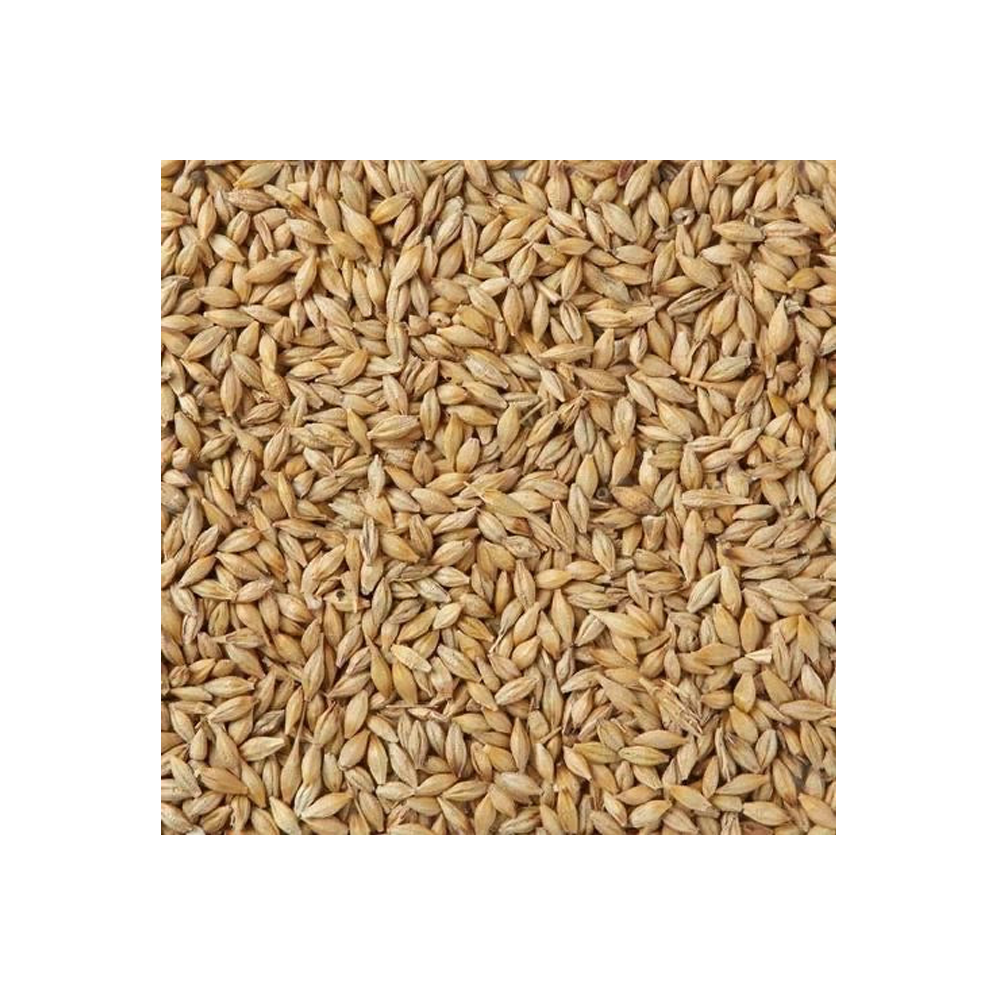 Beatties Barley 20kg