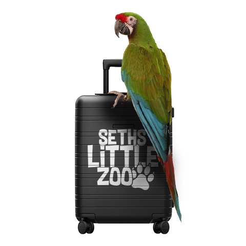 Parrot Boarding Service