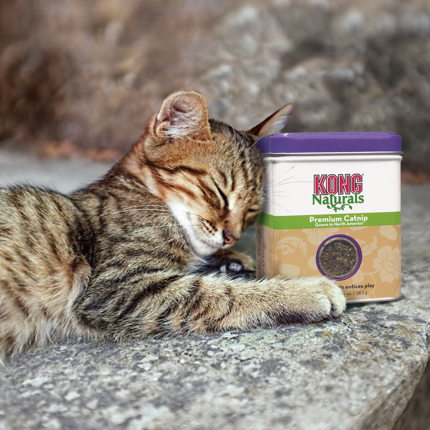KONG Naturals Catnip Premium 2oz