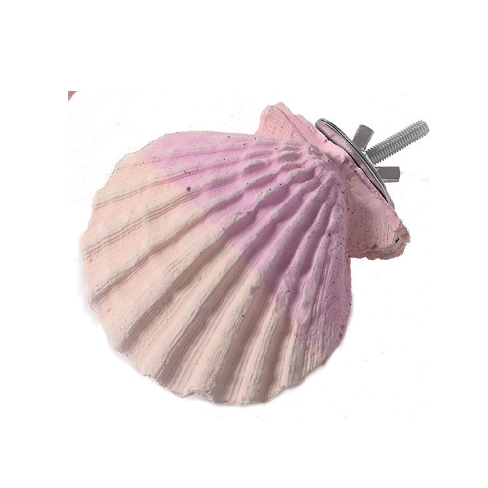 Edible Calcium Clam Small
