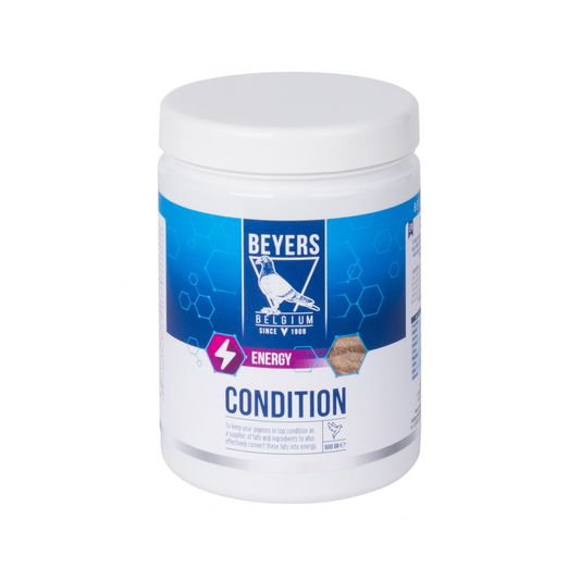 Beyers Condition 600g