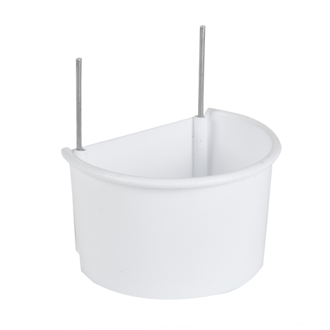 D Cup Large