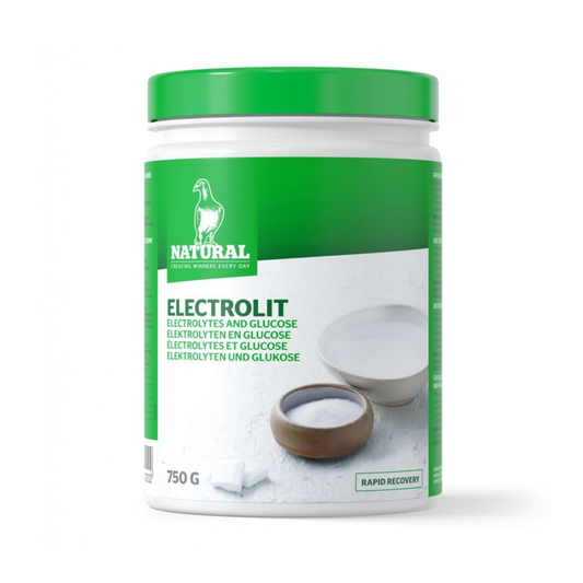 Natural Electrolit 750g