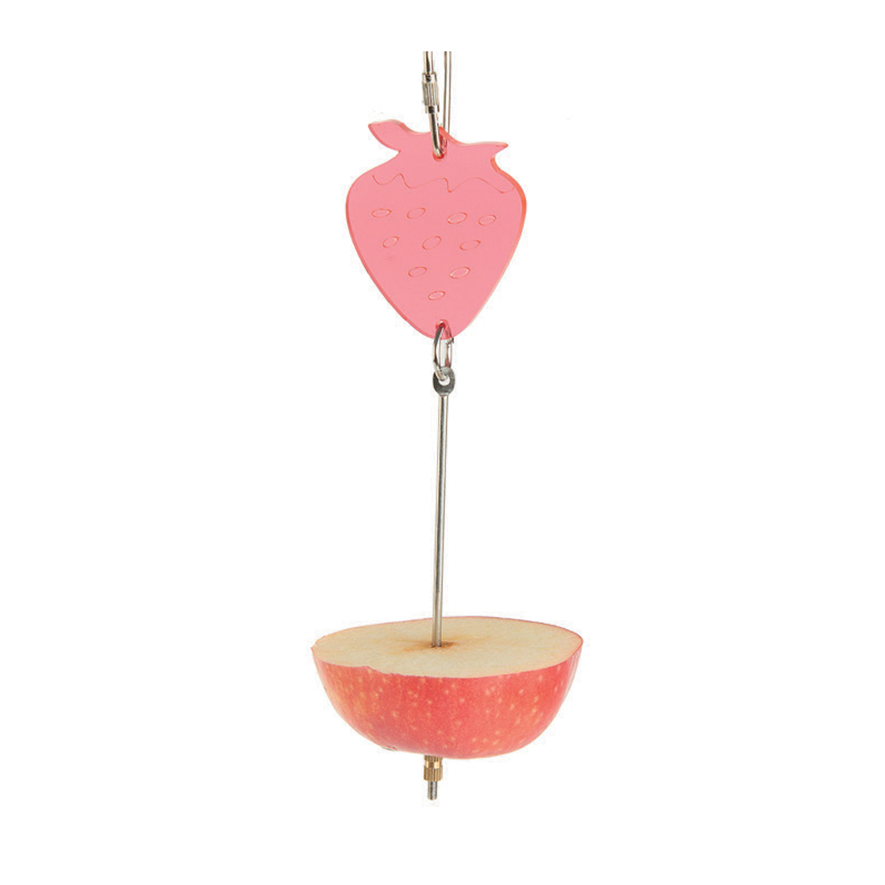 Fruit Spear Toy