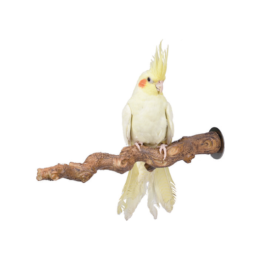 Grape Vine Perch