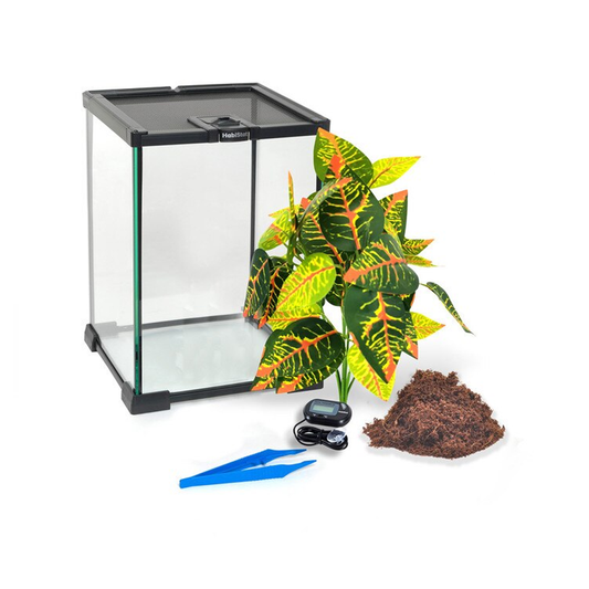 HabiStat Invertebrate Starter Kit