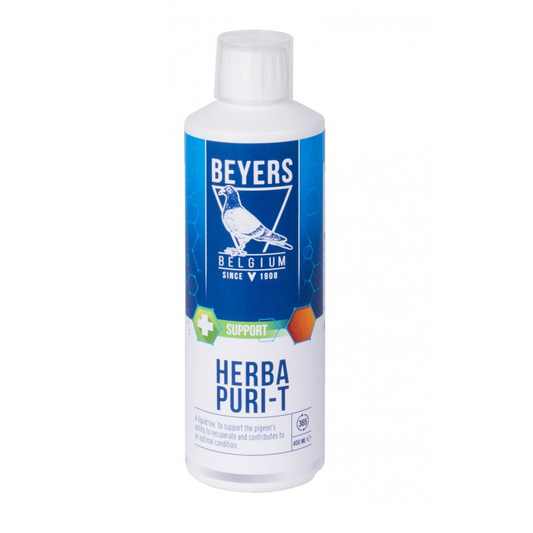 Beyers Herba Puri-T 500ml