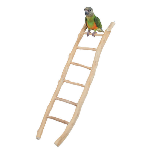 Java Ladder