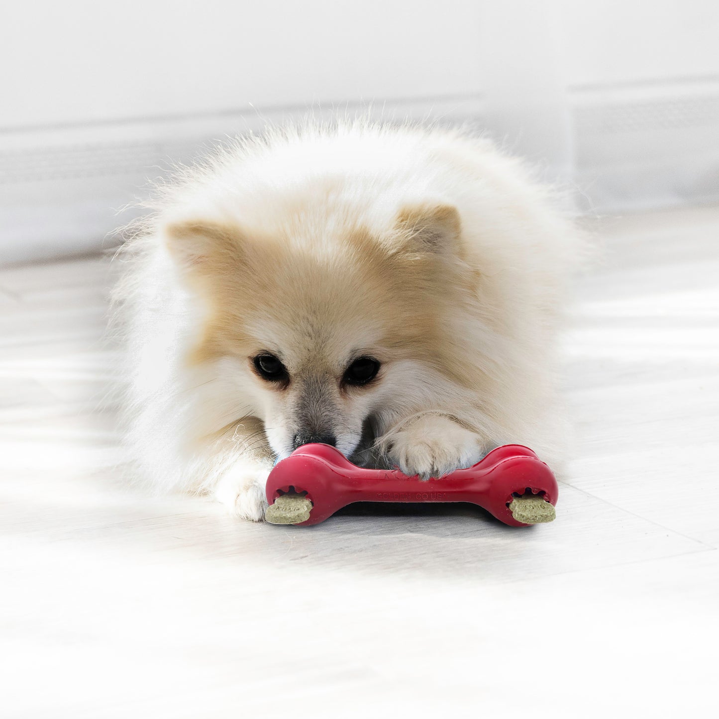 KONG Goodie Bone Small