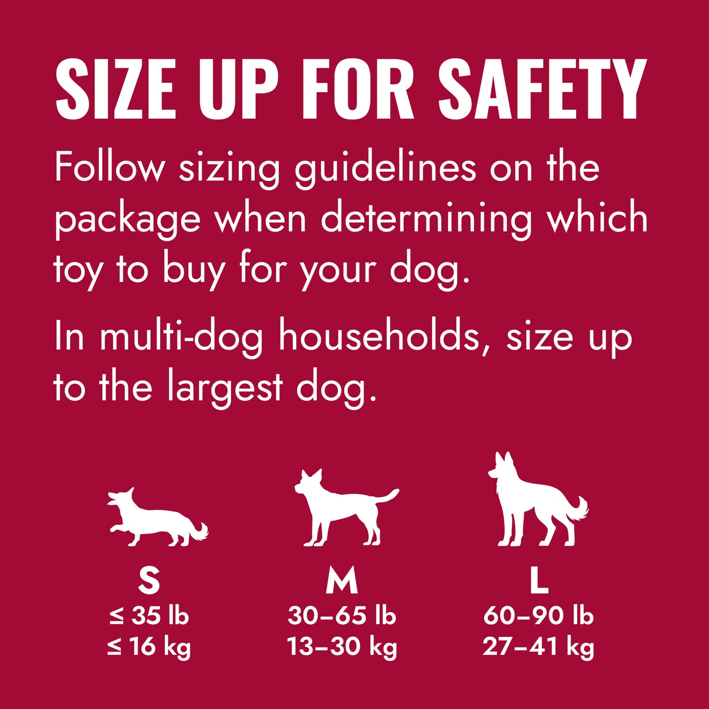 KONG Ball with Hole L