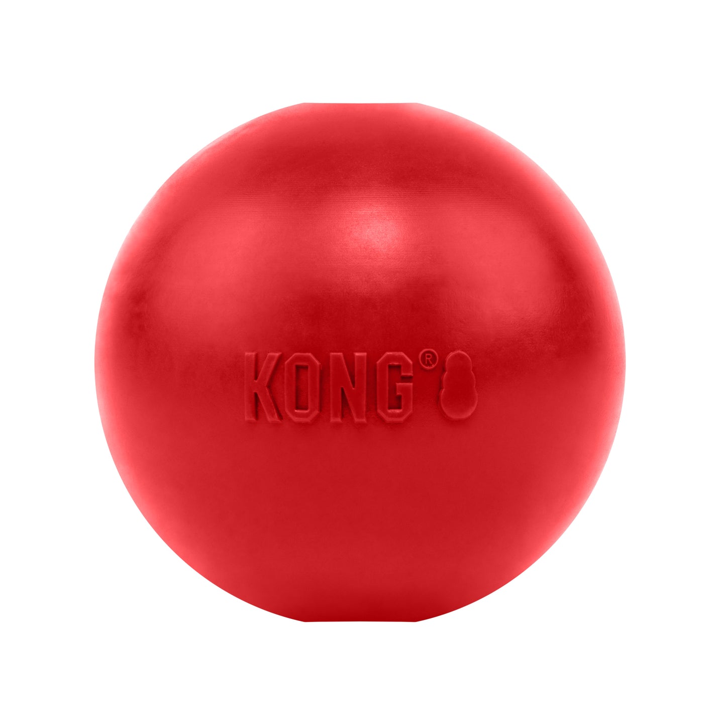 KONG Ball with Hole L