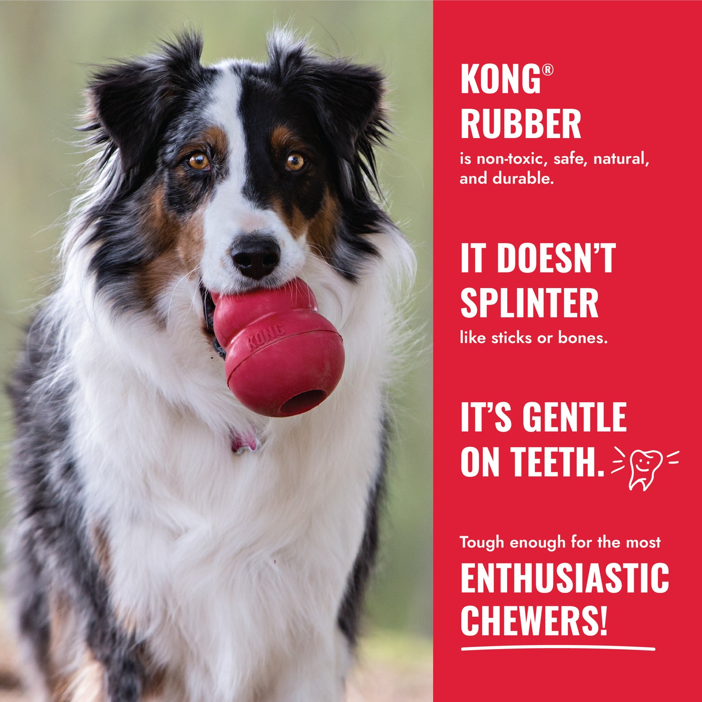 KONG Ring S