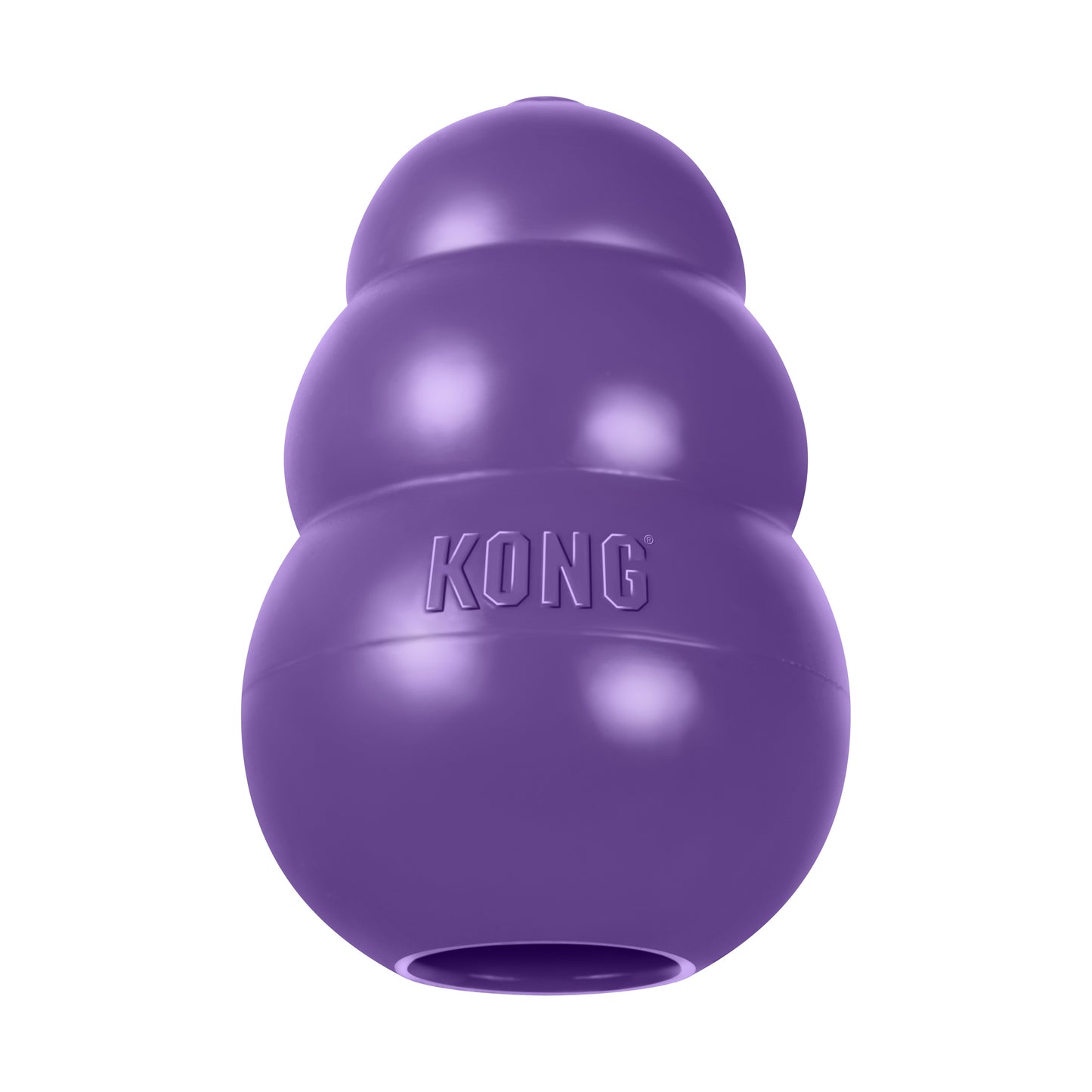 KONG Senior L