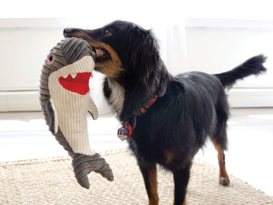 Kong Cuteseas Rufflez Shark Medium
