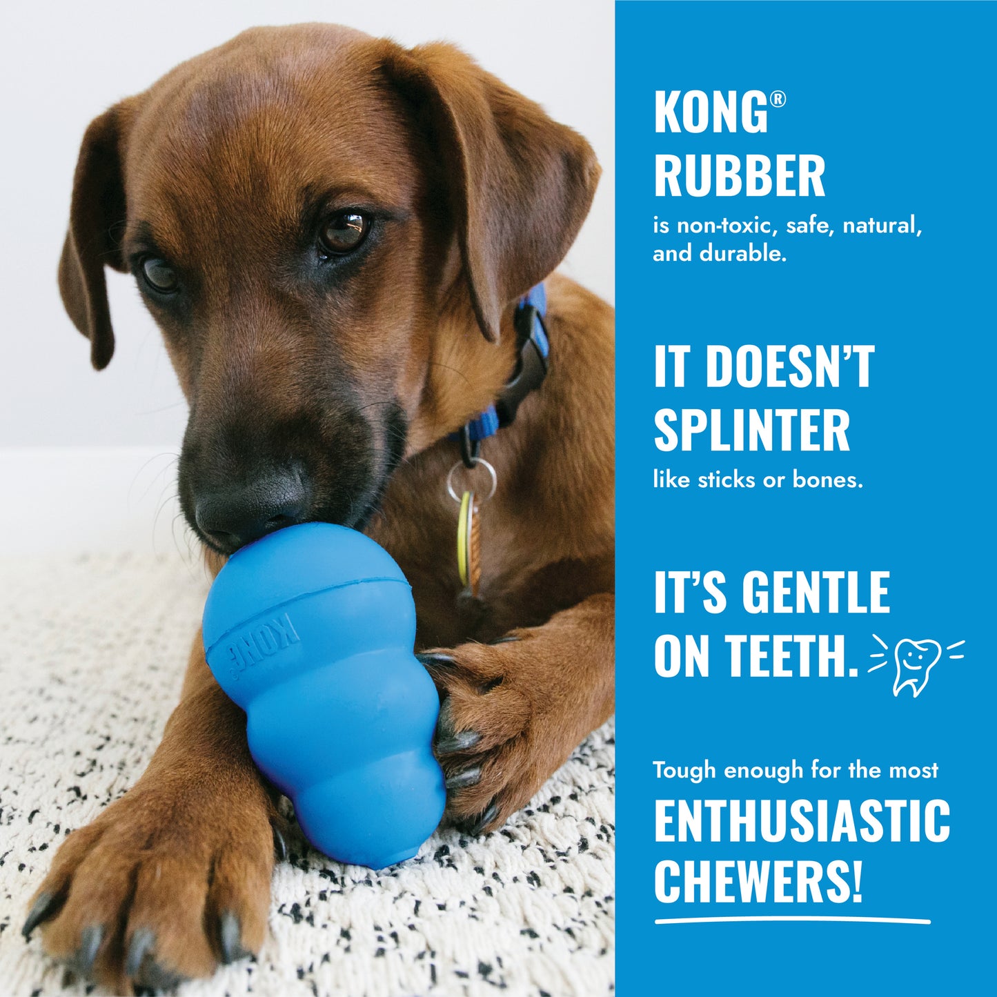 KONG Puppy Assorted M