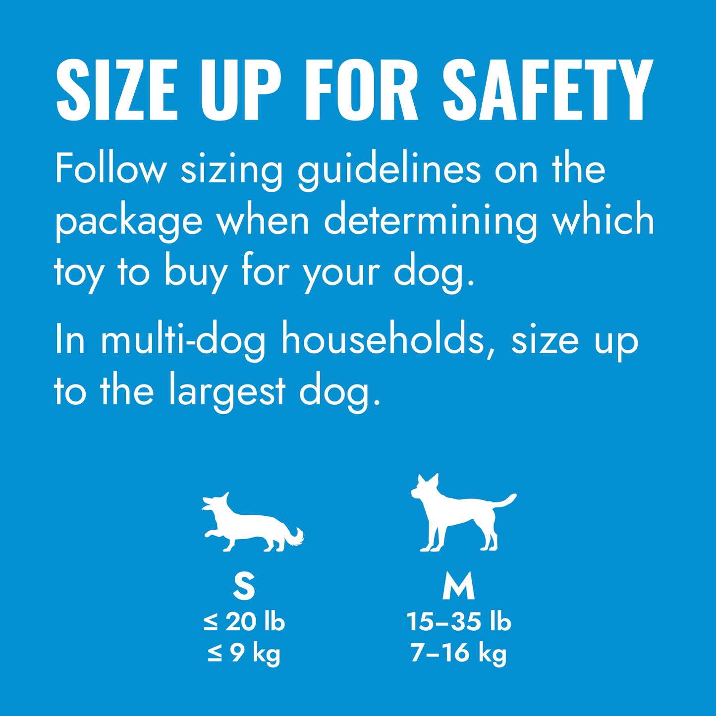 KONG Puppy Activity Ball Assorted S