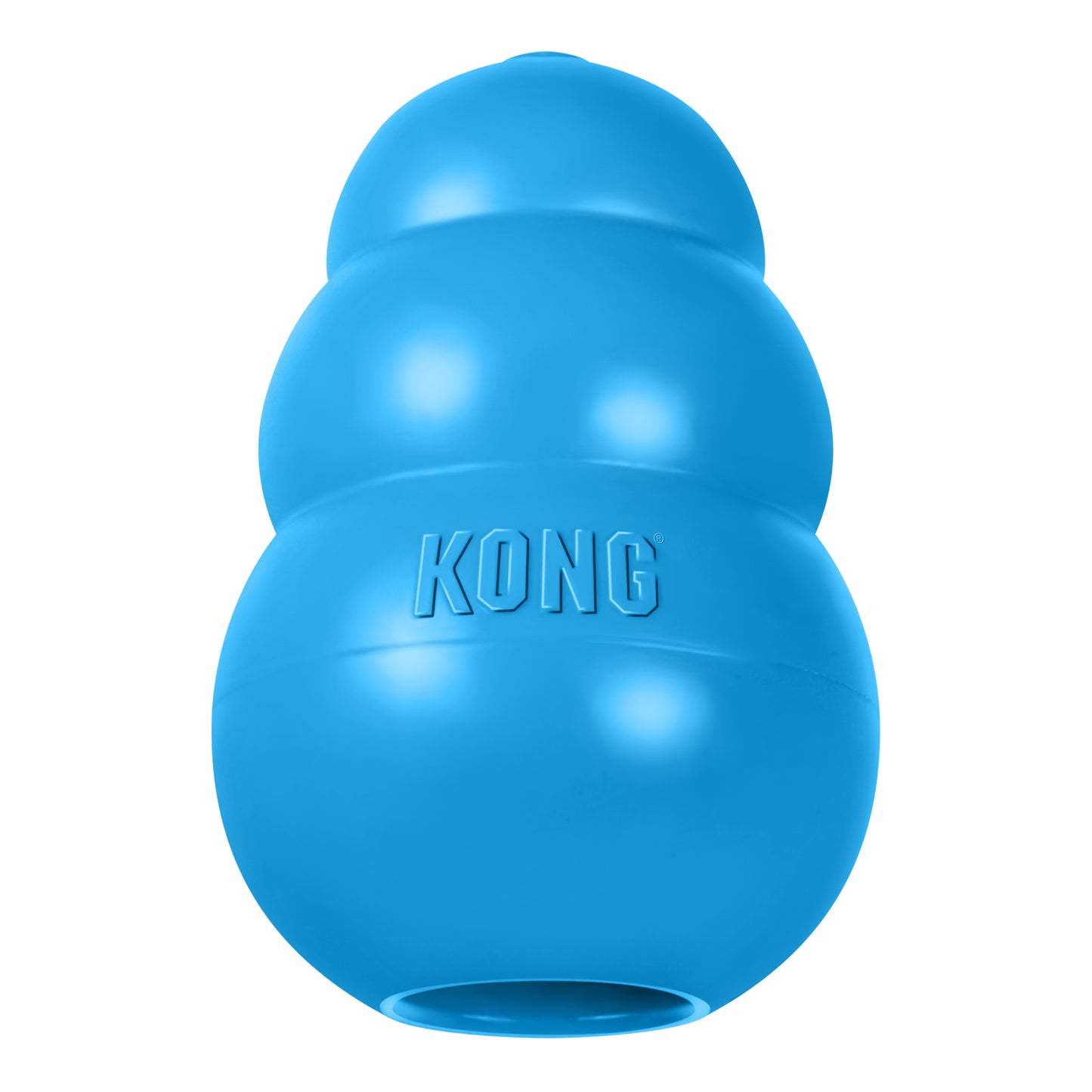KONG Puppy Assorted S