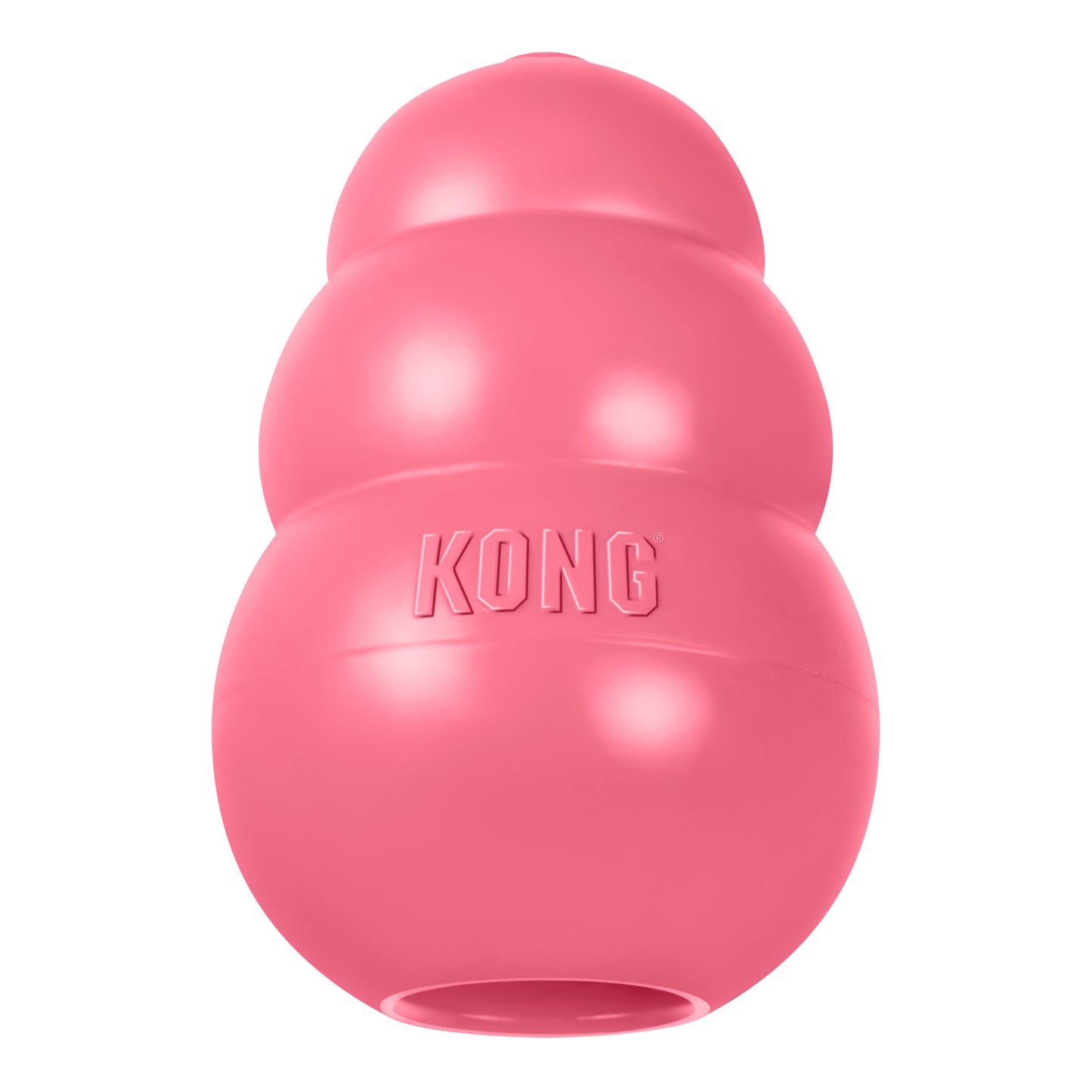 KONG Puppy Assorted S