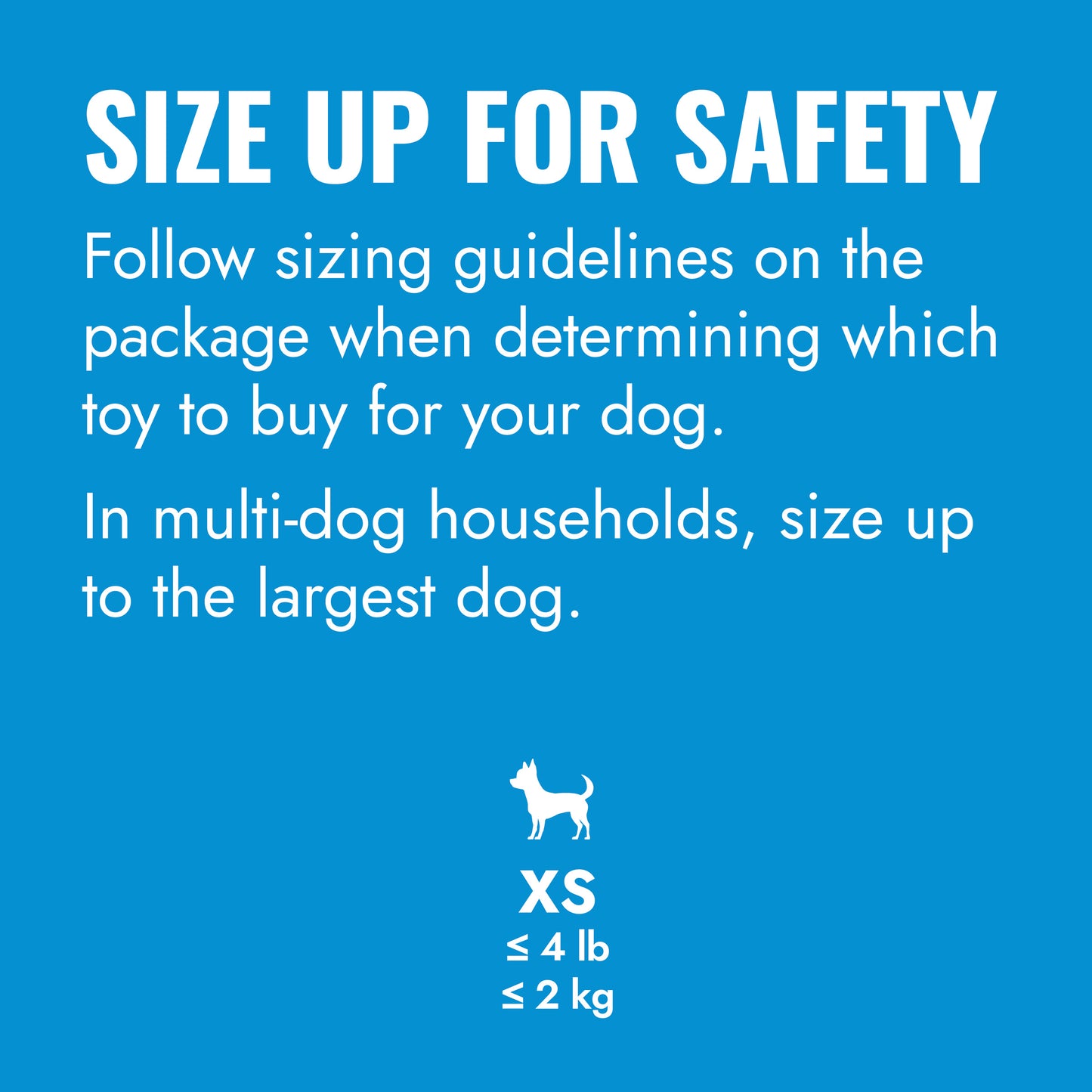 KONG Puppy Goodie Bone with Rope Assorted XS