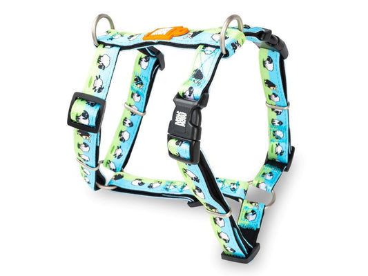 Max & Molly Blue Ocean H Harness Large